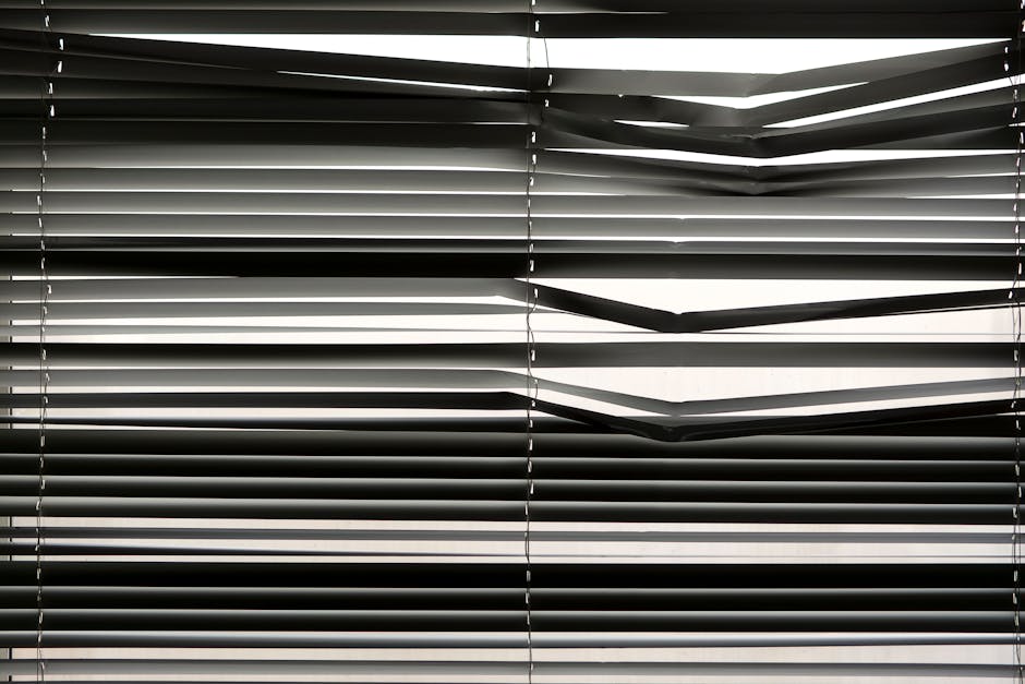 Minimalist sheer roller window shades filtering sunlight